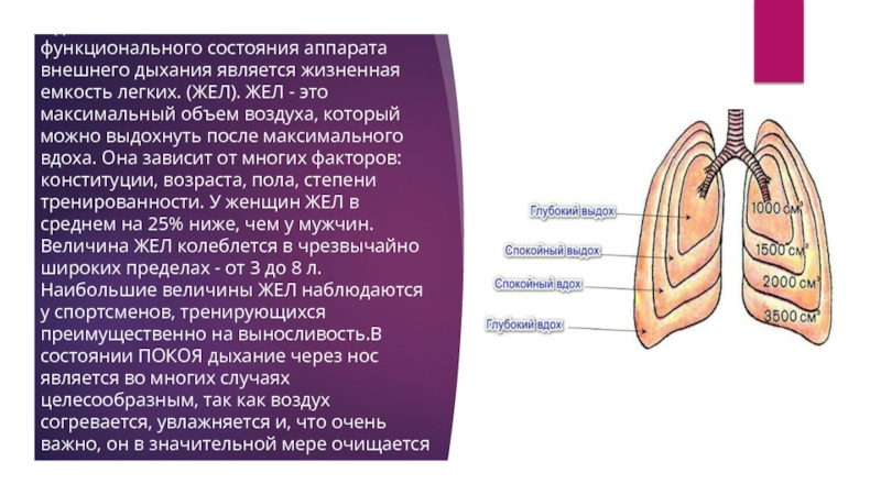 Спирометр